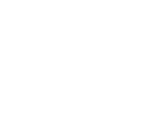 Linum Labs AG logo