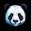 Blockchain Security Researcher