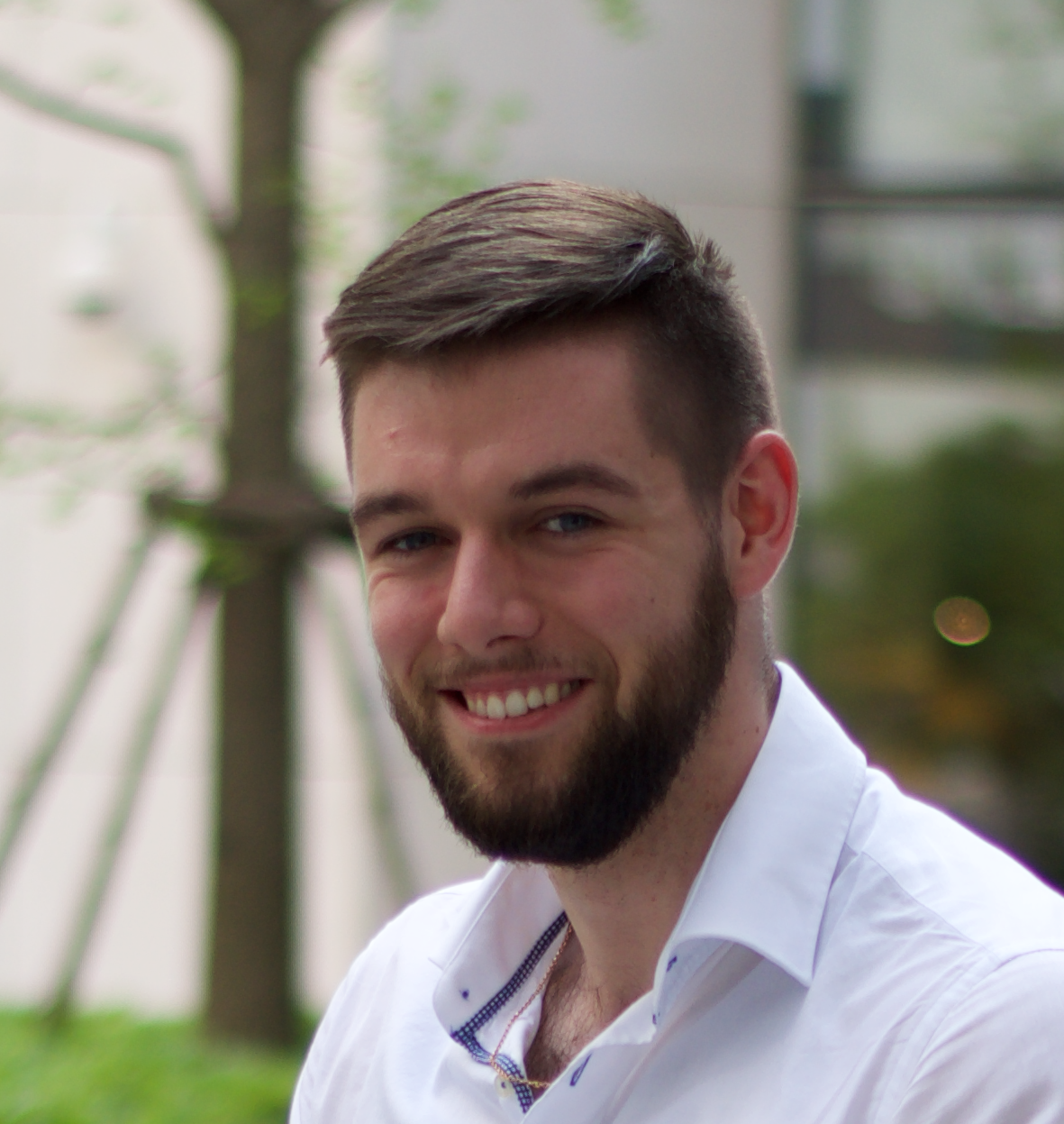 MVP - POC, Mobile (Dart, Flutter, Firebase) Expert with PM Expertise