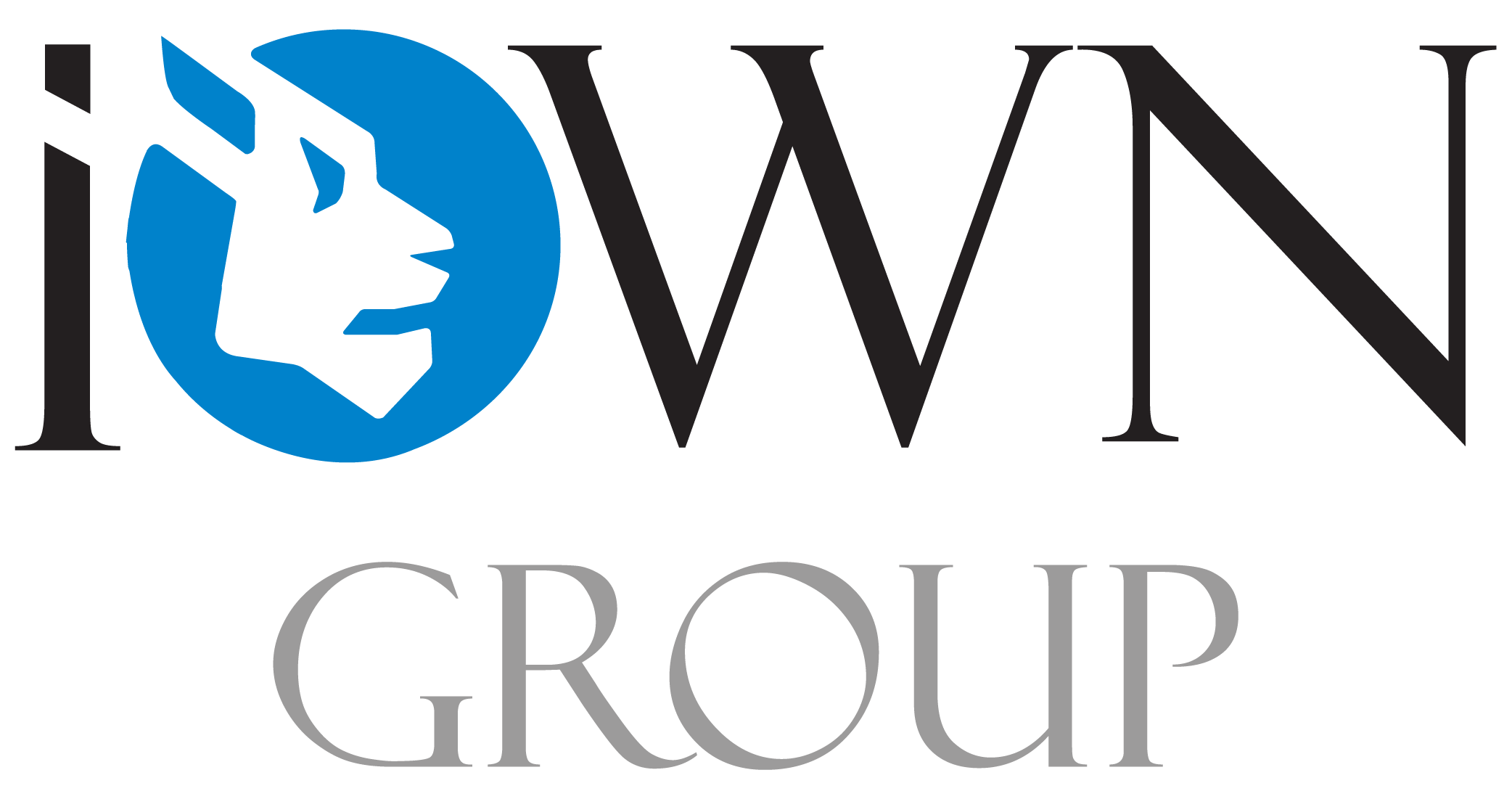 iOWN Group logo