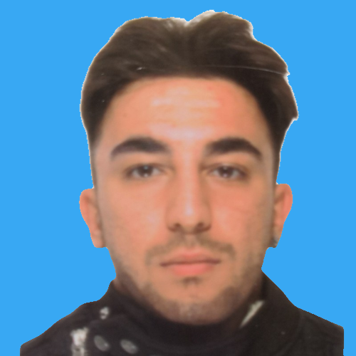 Software Developer