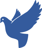 Atom House logo