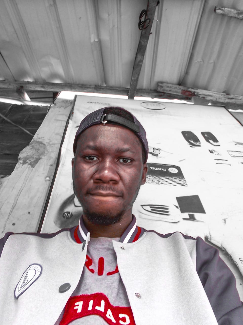 Software Developer