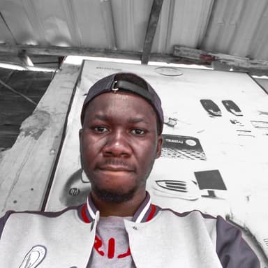 Software Developer