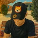 Mass adoption builder, Meme communty expert, crypto account manager, conferences speaker