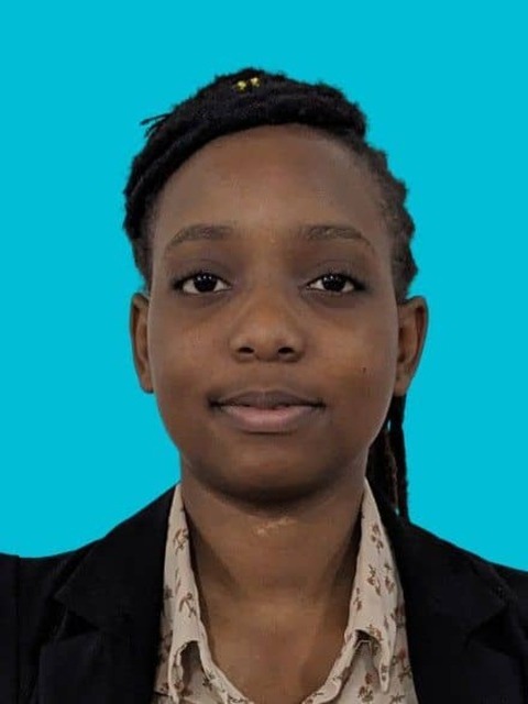 smart contract engineer