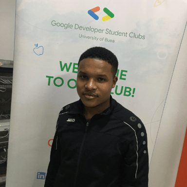 Software Developer