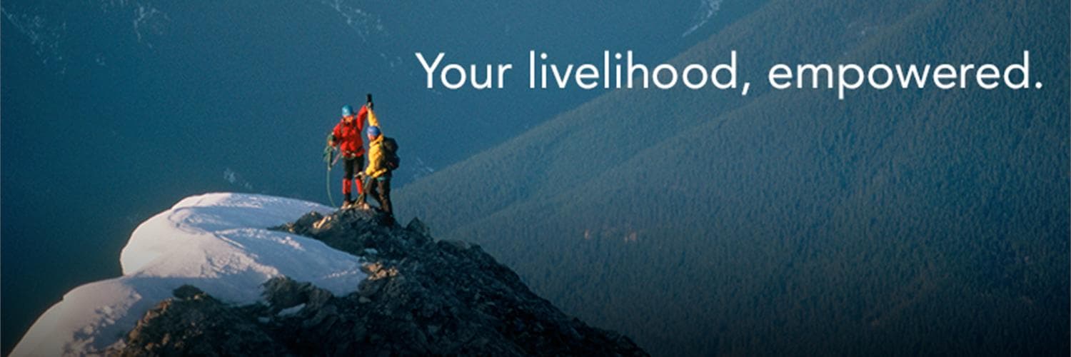 Friedman LLP cover image