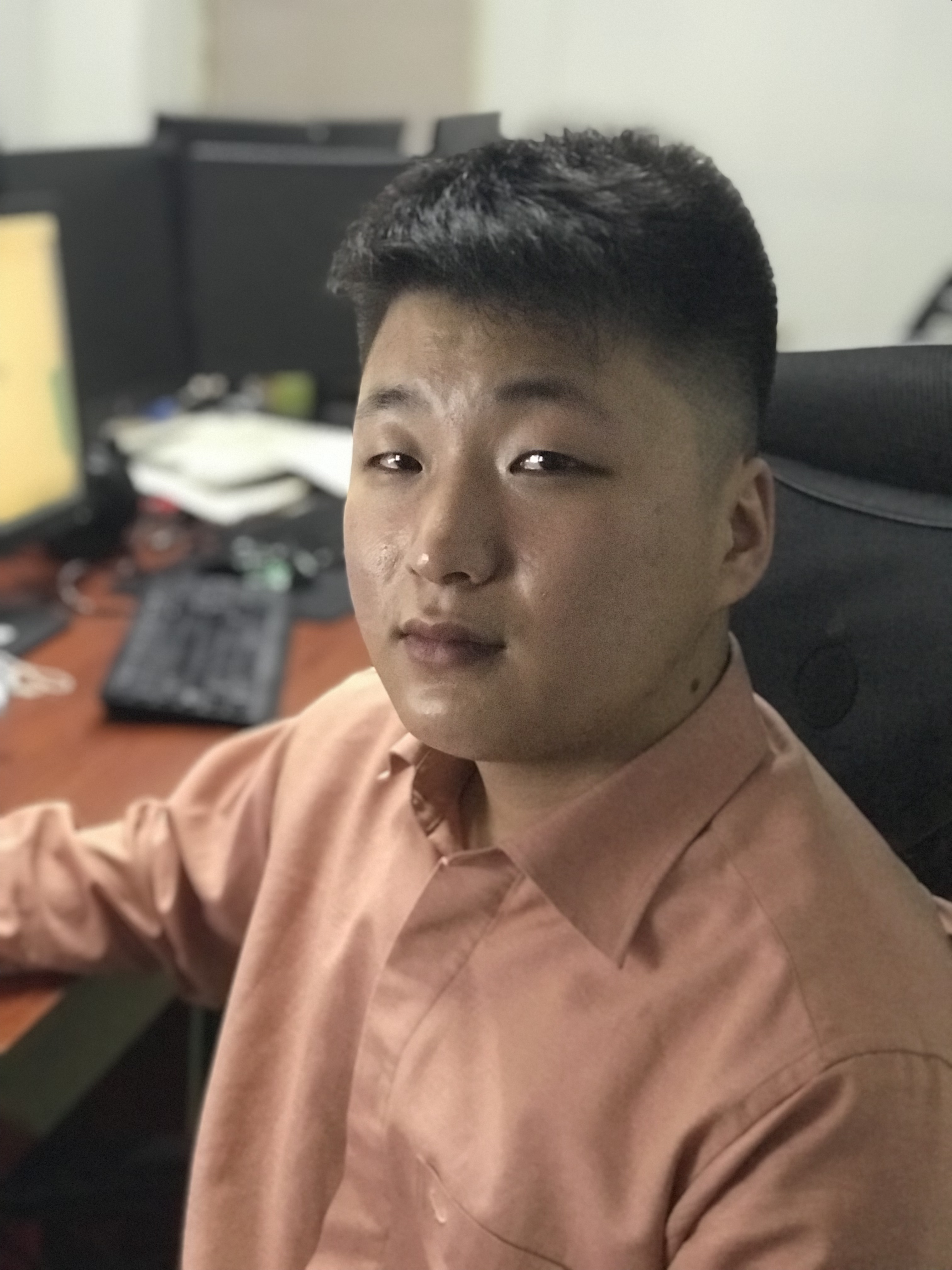 Senior Solidity Developer