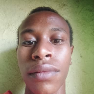 Professional English to Amharic Translator