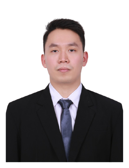 Solidity Developer