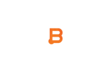 Business Instincts Group logo
