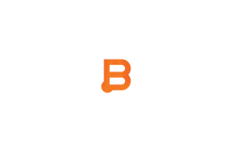 Business Instincts Group logo
