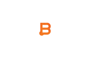 Business Instincts Group logo