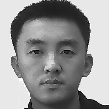 Blockchain Developer