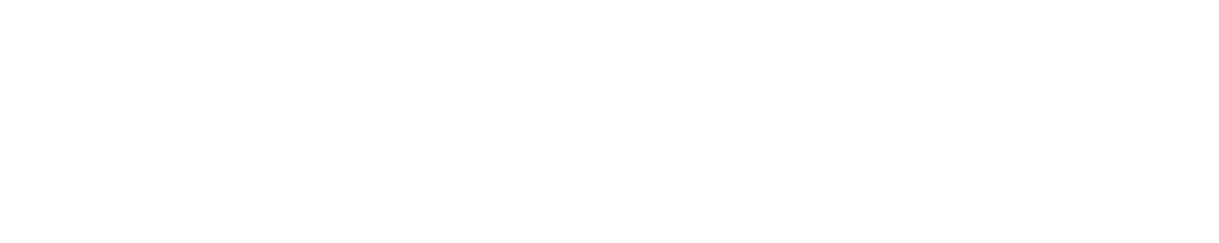 Nervos logo white
