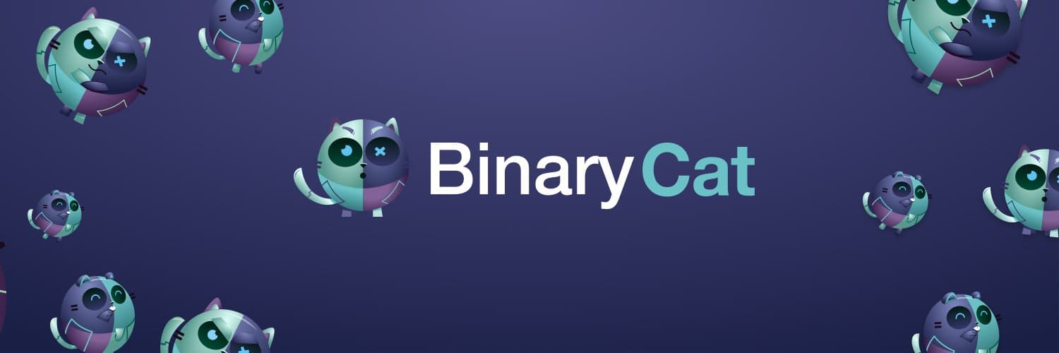 Binary Cat cover image