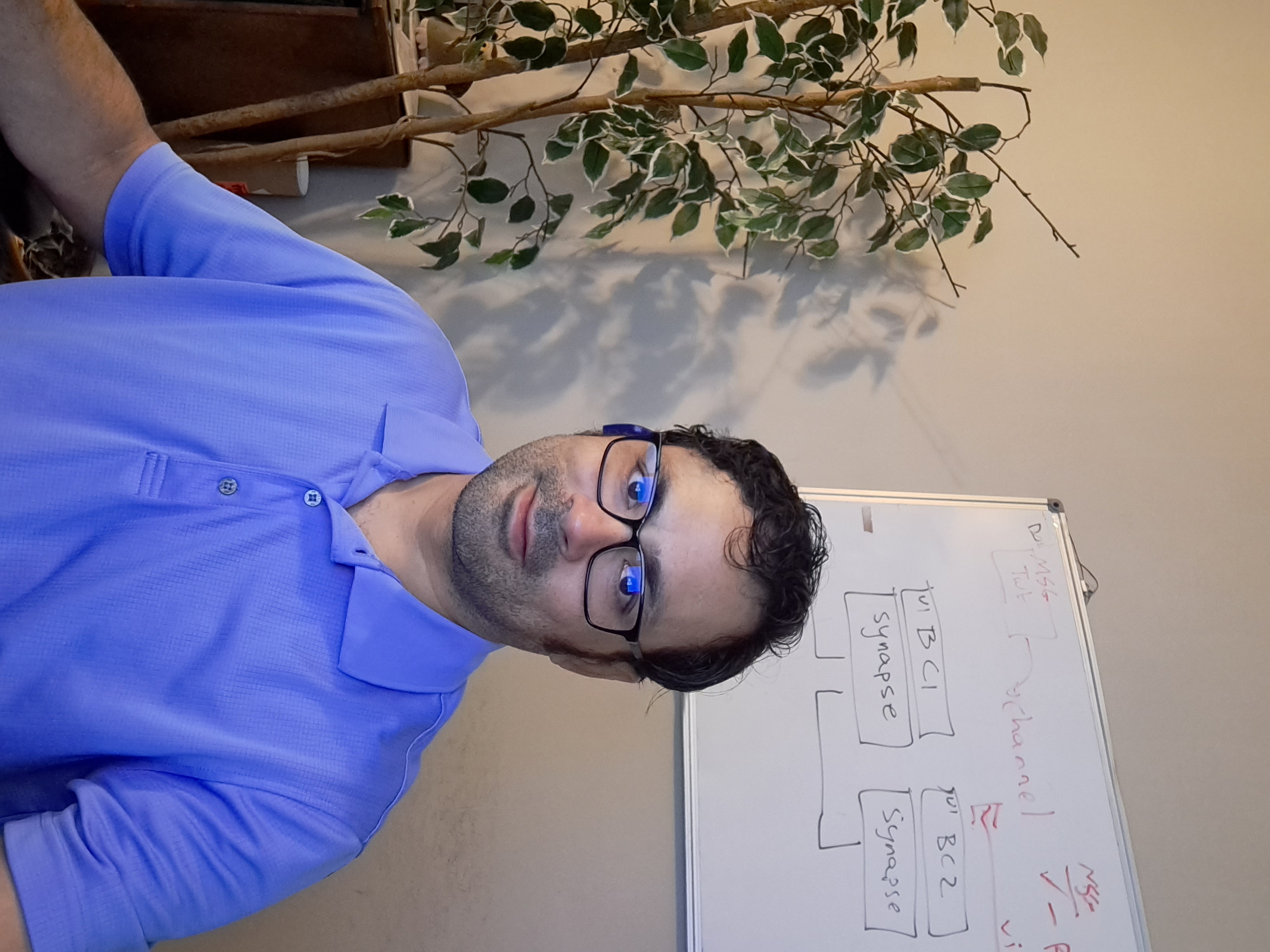 Systems integrator and strategist