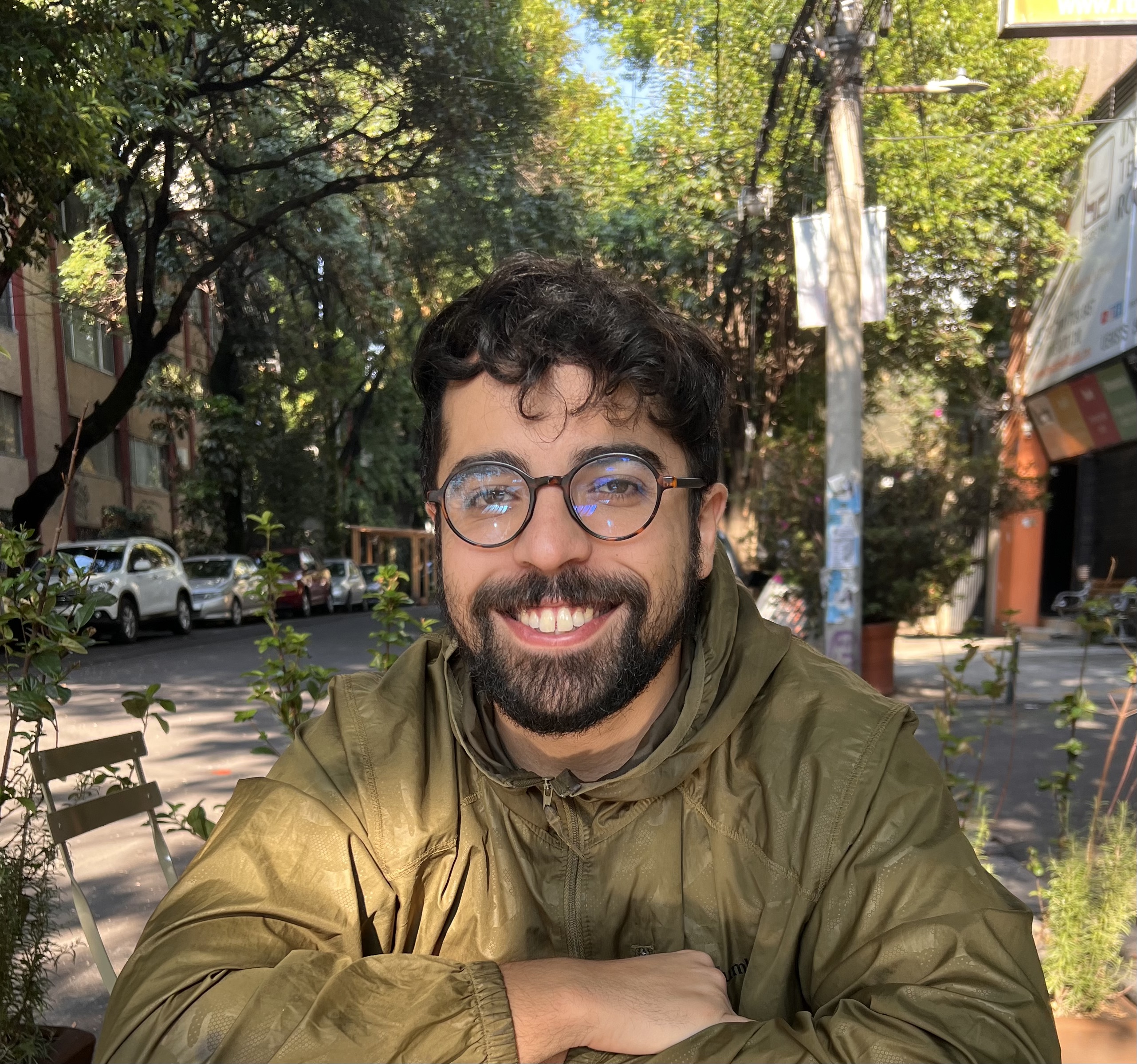Software Developer
