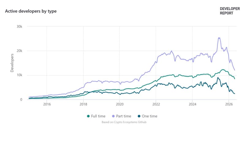 Active developers by type