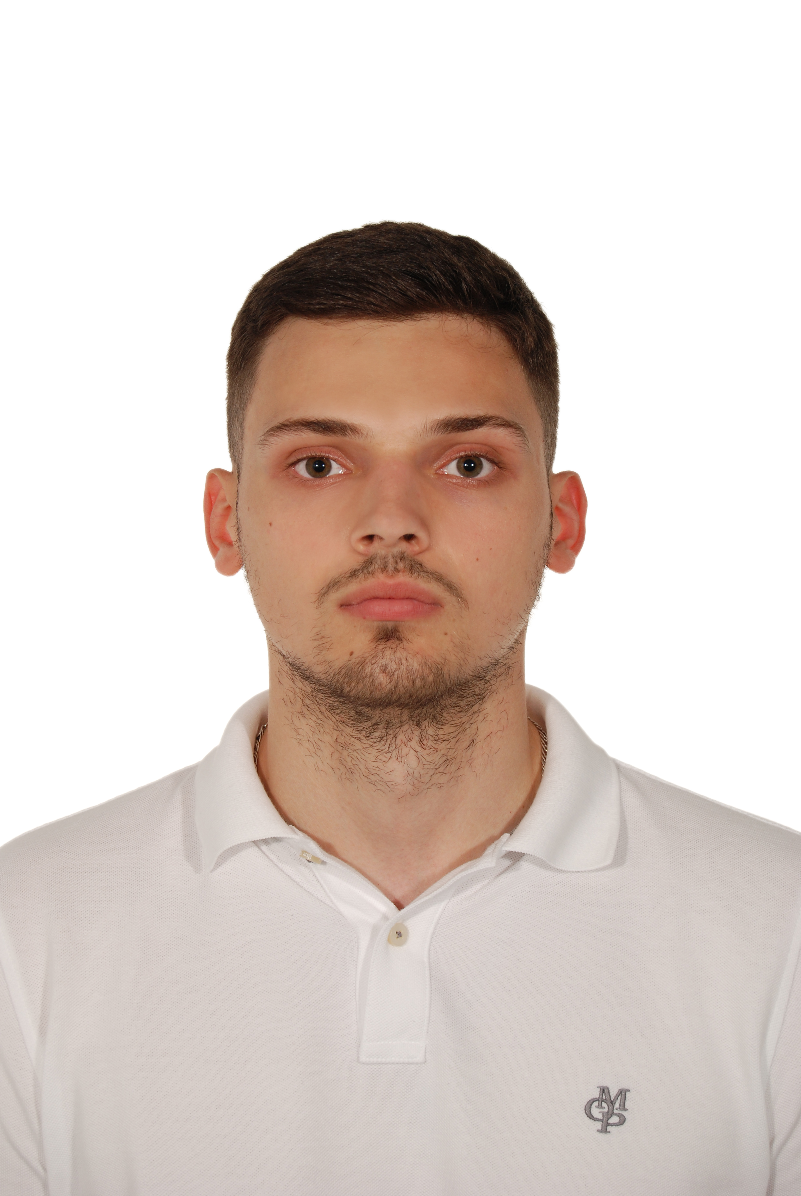 Software Engineer 