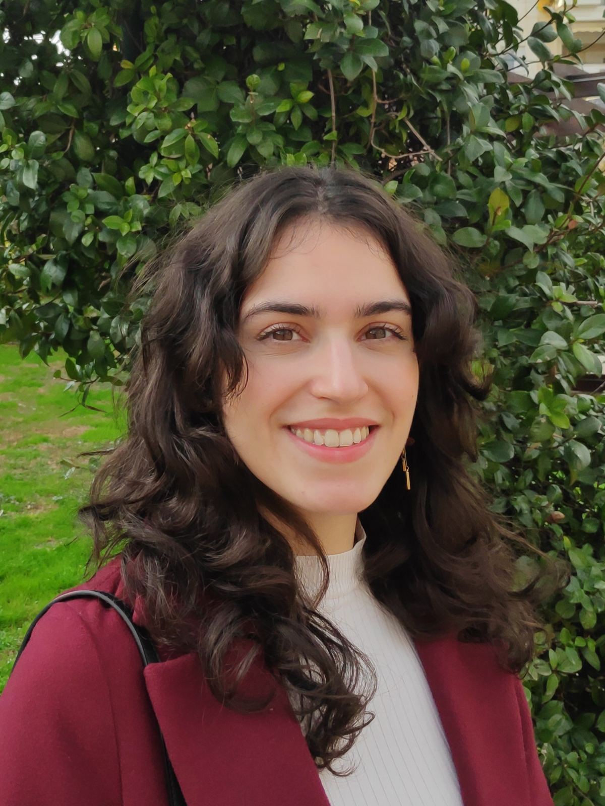 Data Scientist