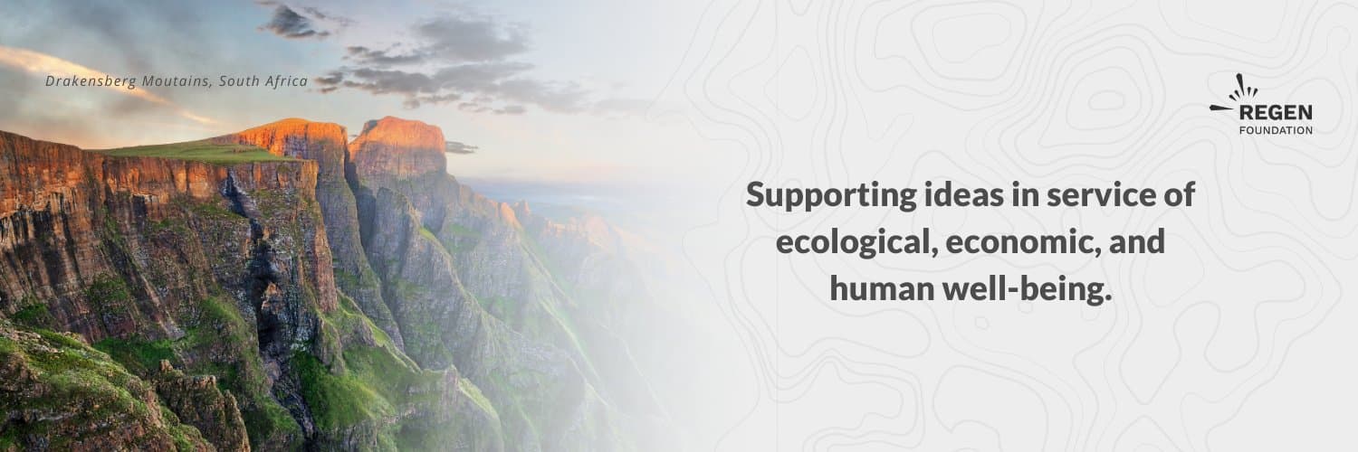 Regen Foundation cover image