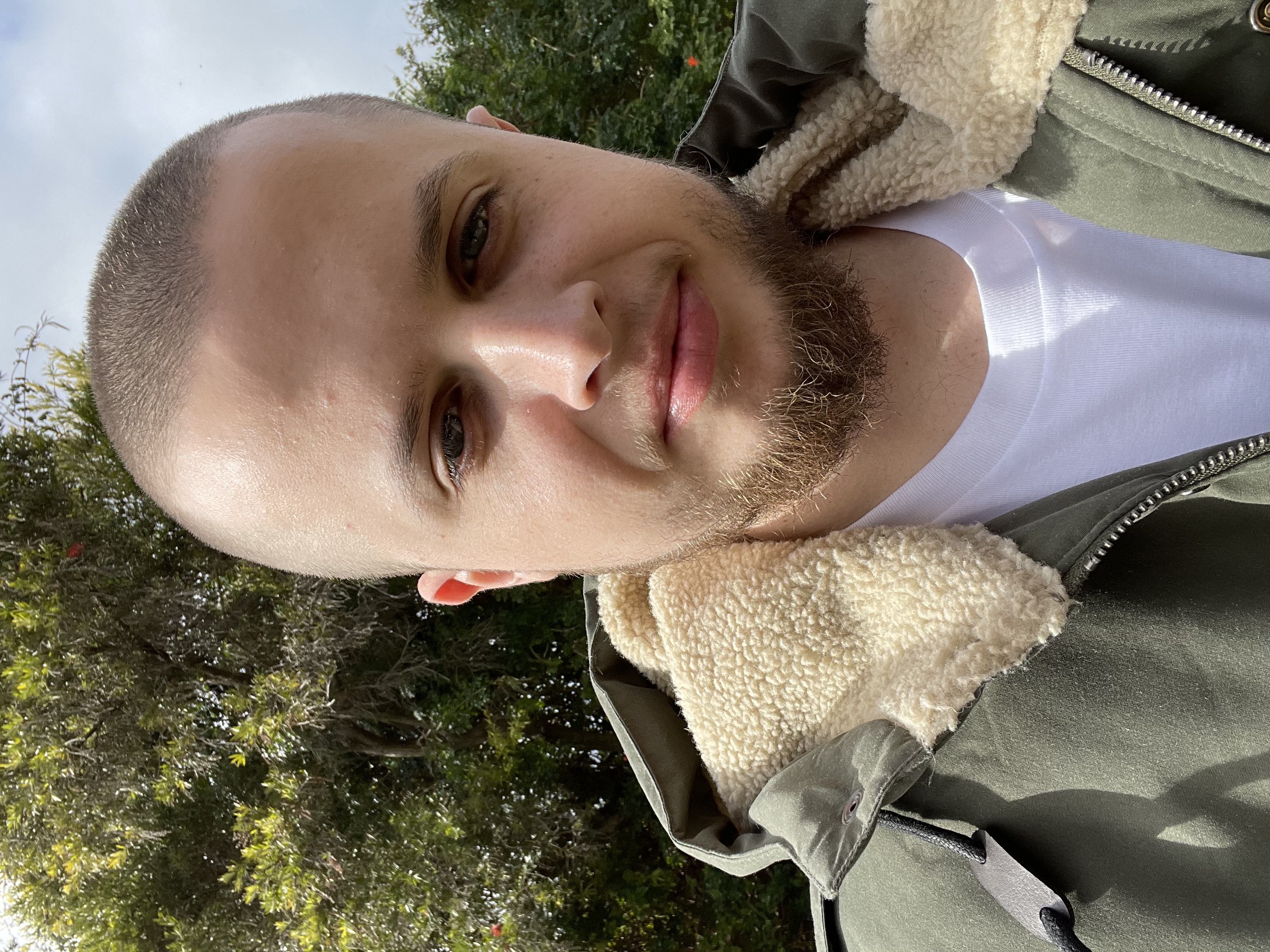 Solidity Developer