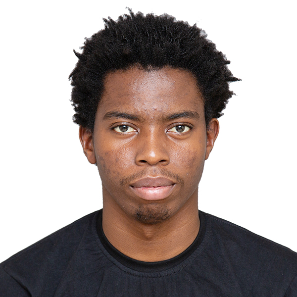 Solidity Developer