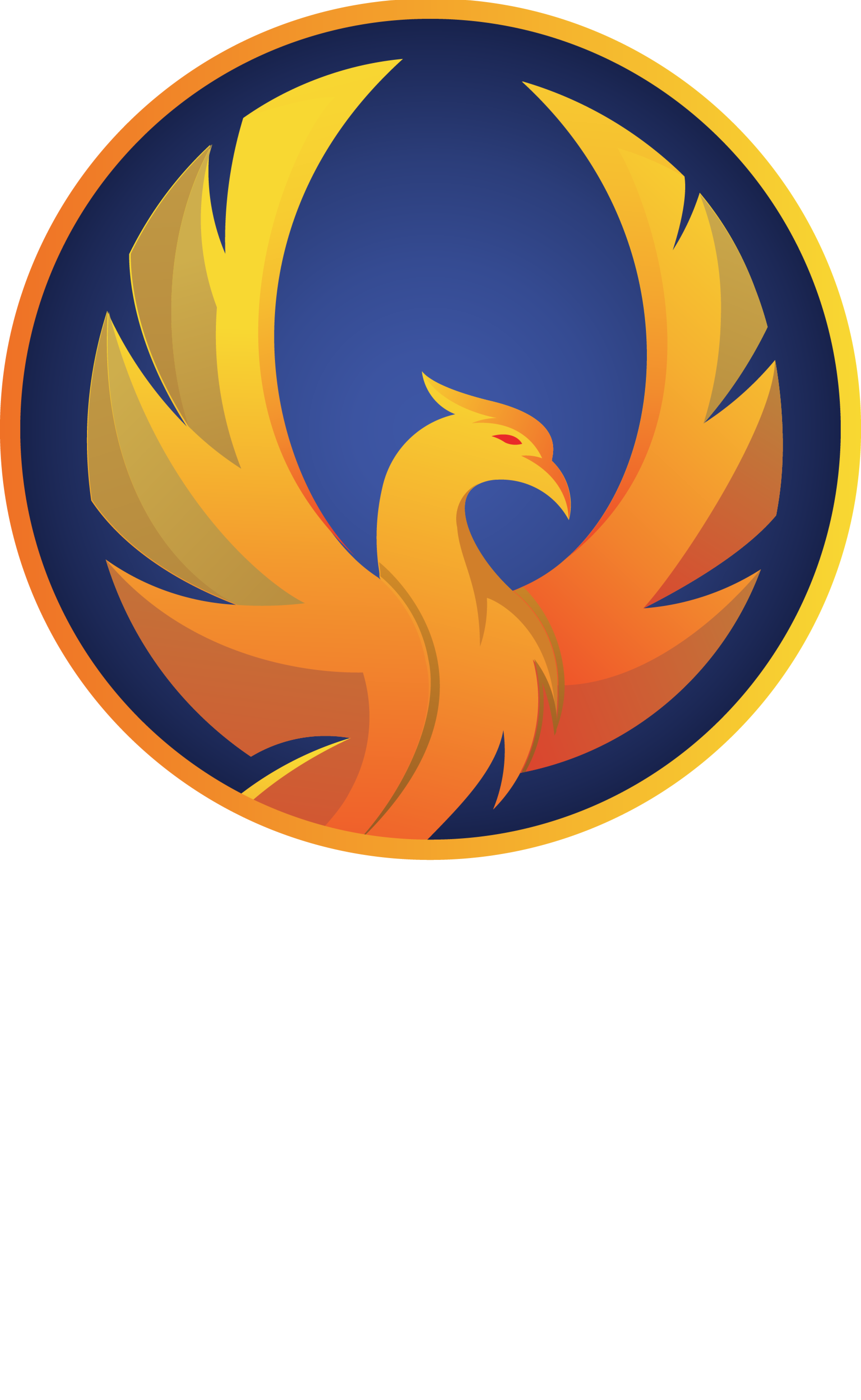 Firebird Finance logo