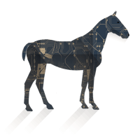 CryptoHorse jobs