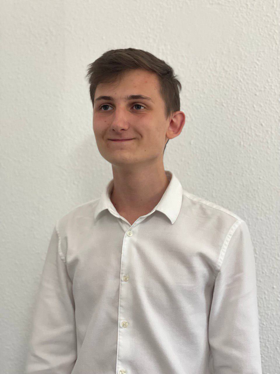 Software Developer