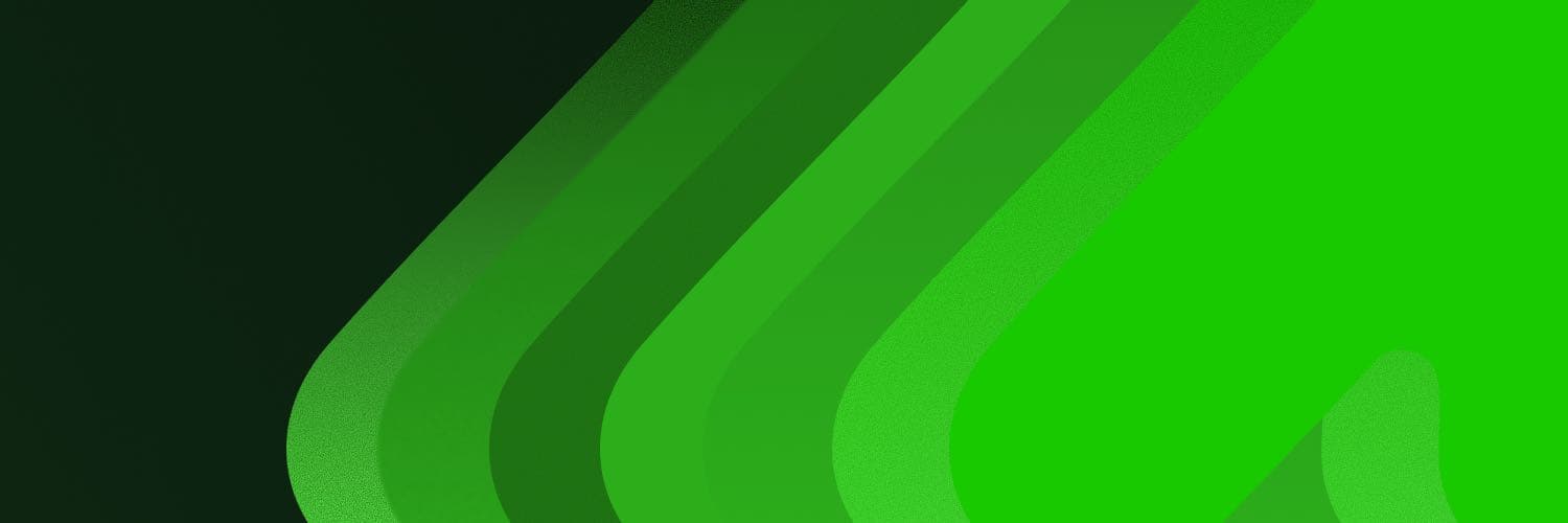 Morph Network cover image