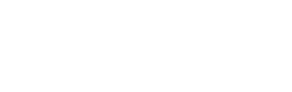 Bitcoin Meester - Bitladon logo