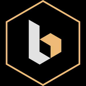 BASIS logo