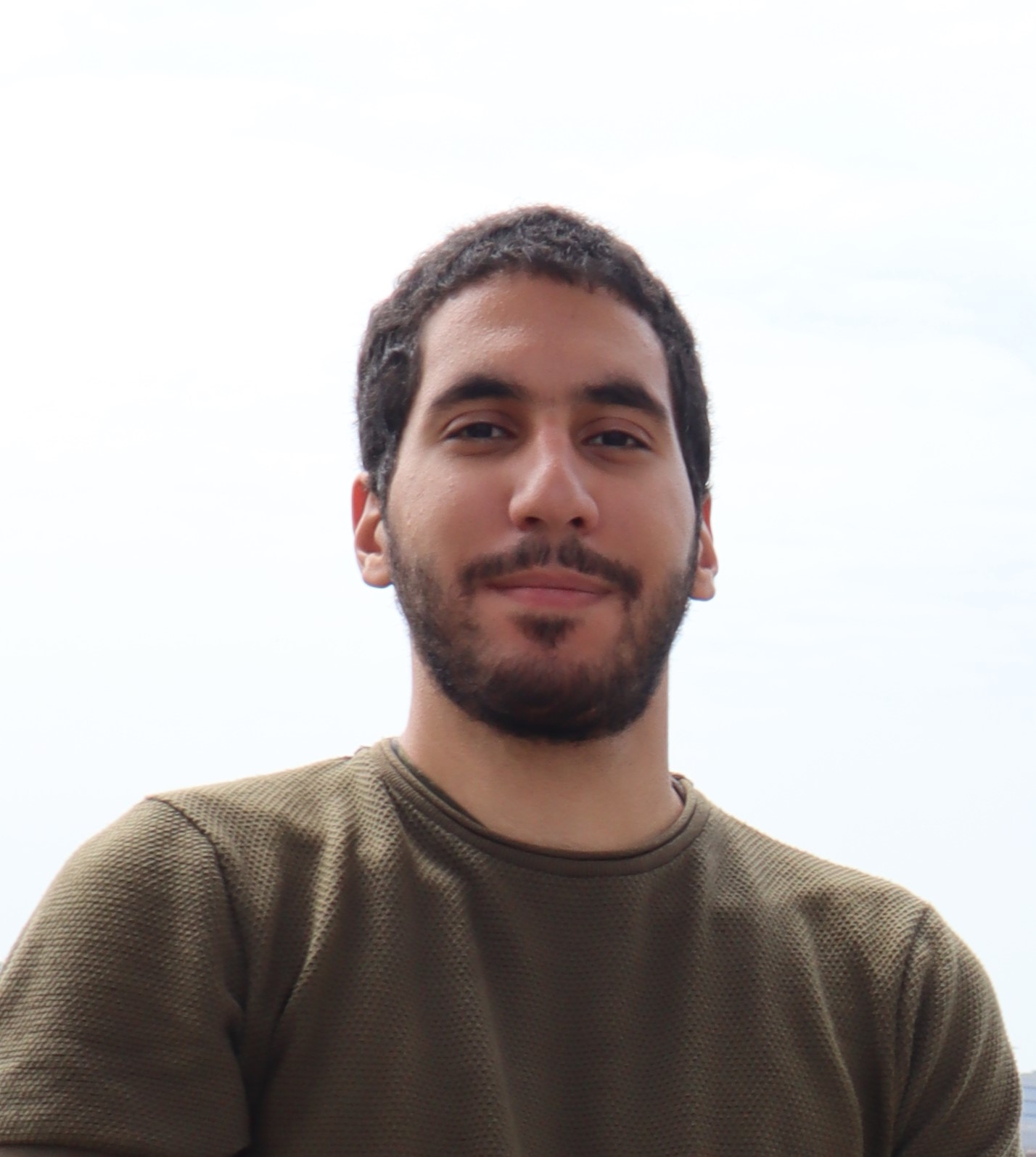 Solidity Developer