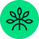 Mangrove logo