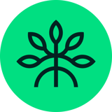 Mangrove logo
