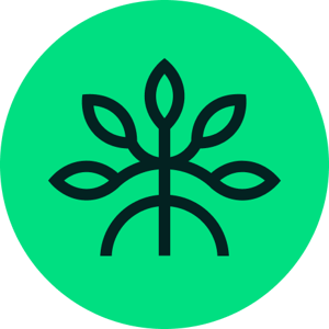 Mangrove logo