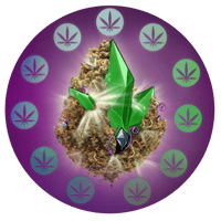 GROW jobs