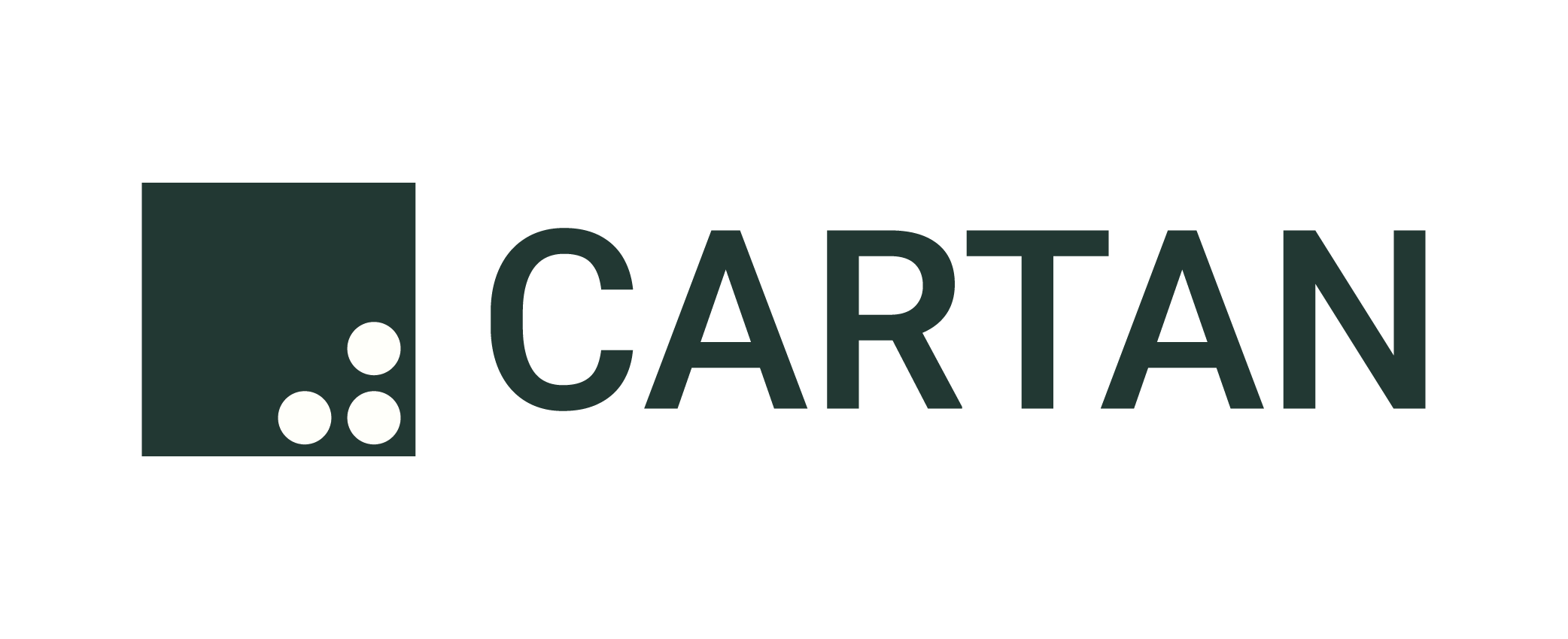 Cartan Group LLC logo