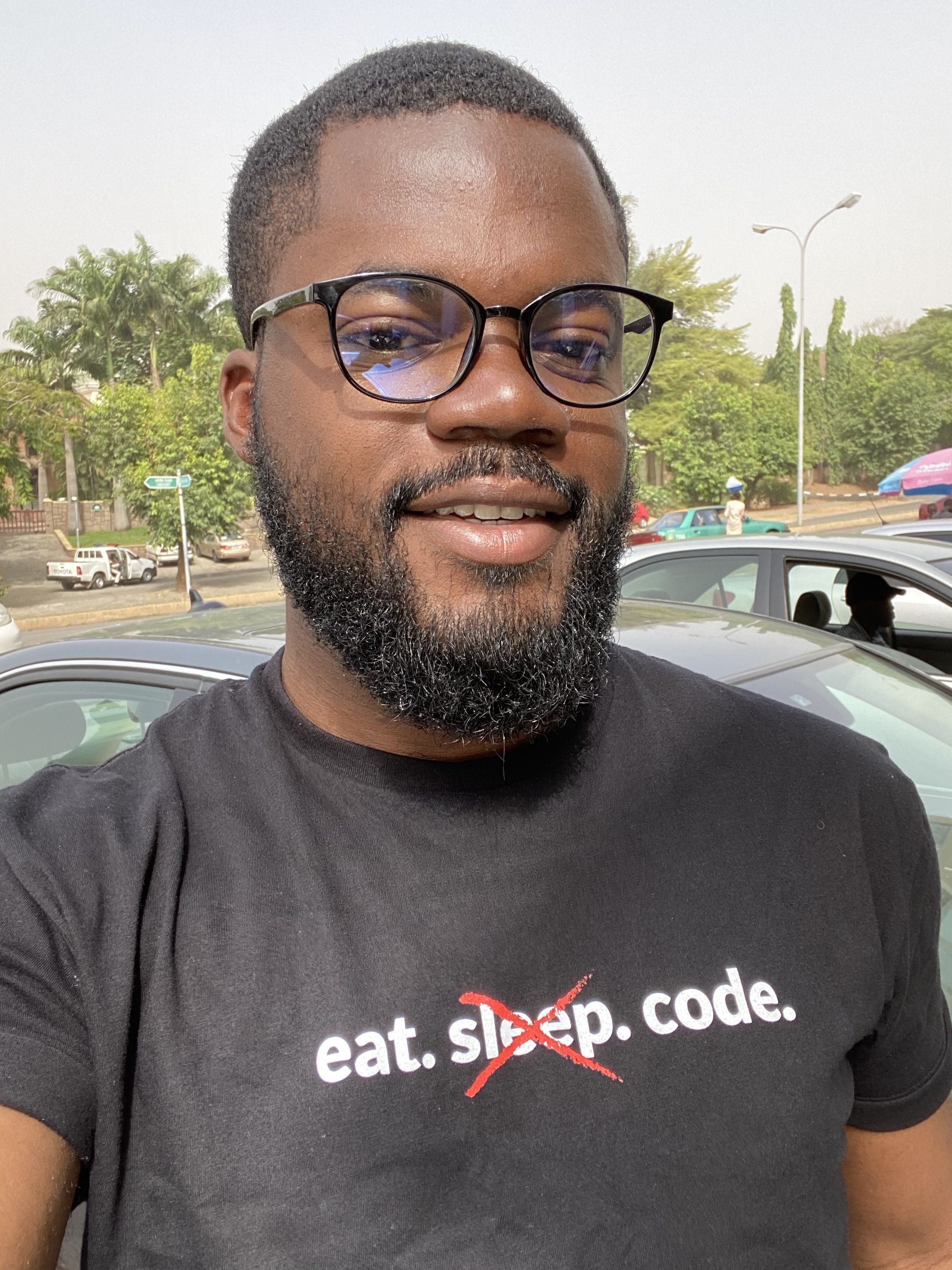 Lead software developer