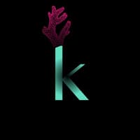 Koral LLC jobs