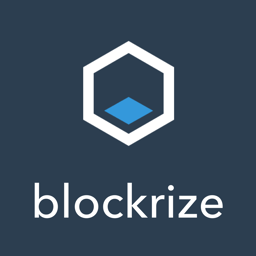 blockrize logo