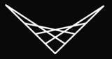 Falcon Pursuit logo