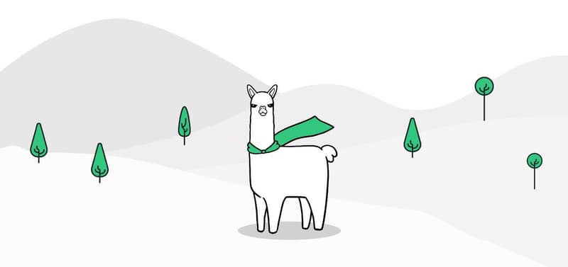 alpaca.jpeg
