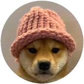 dogwithhat meme coin profile picture.png