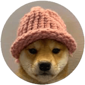 dogwithhat meme coin profile picture.png