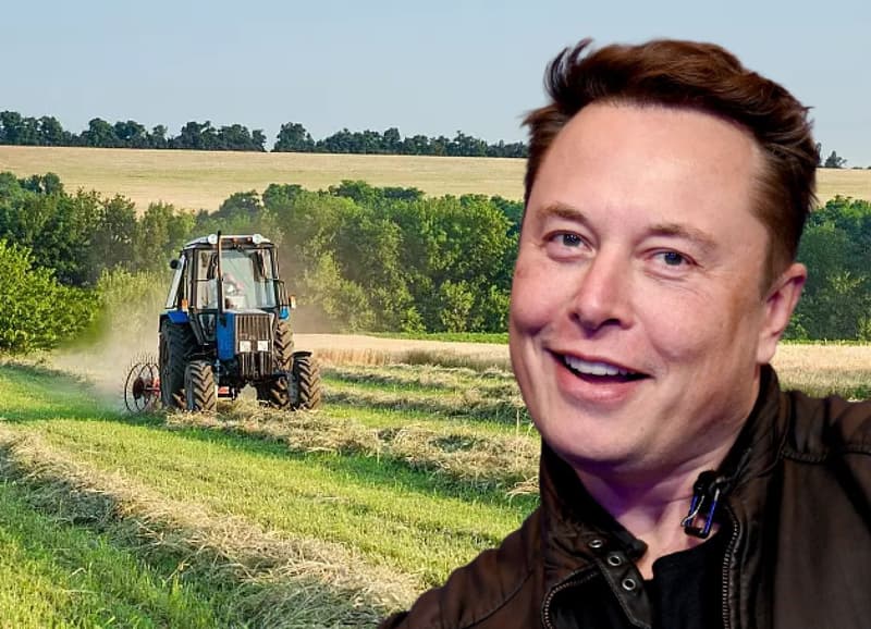 First job of Elon Musk