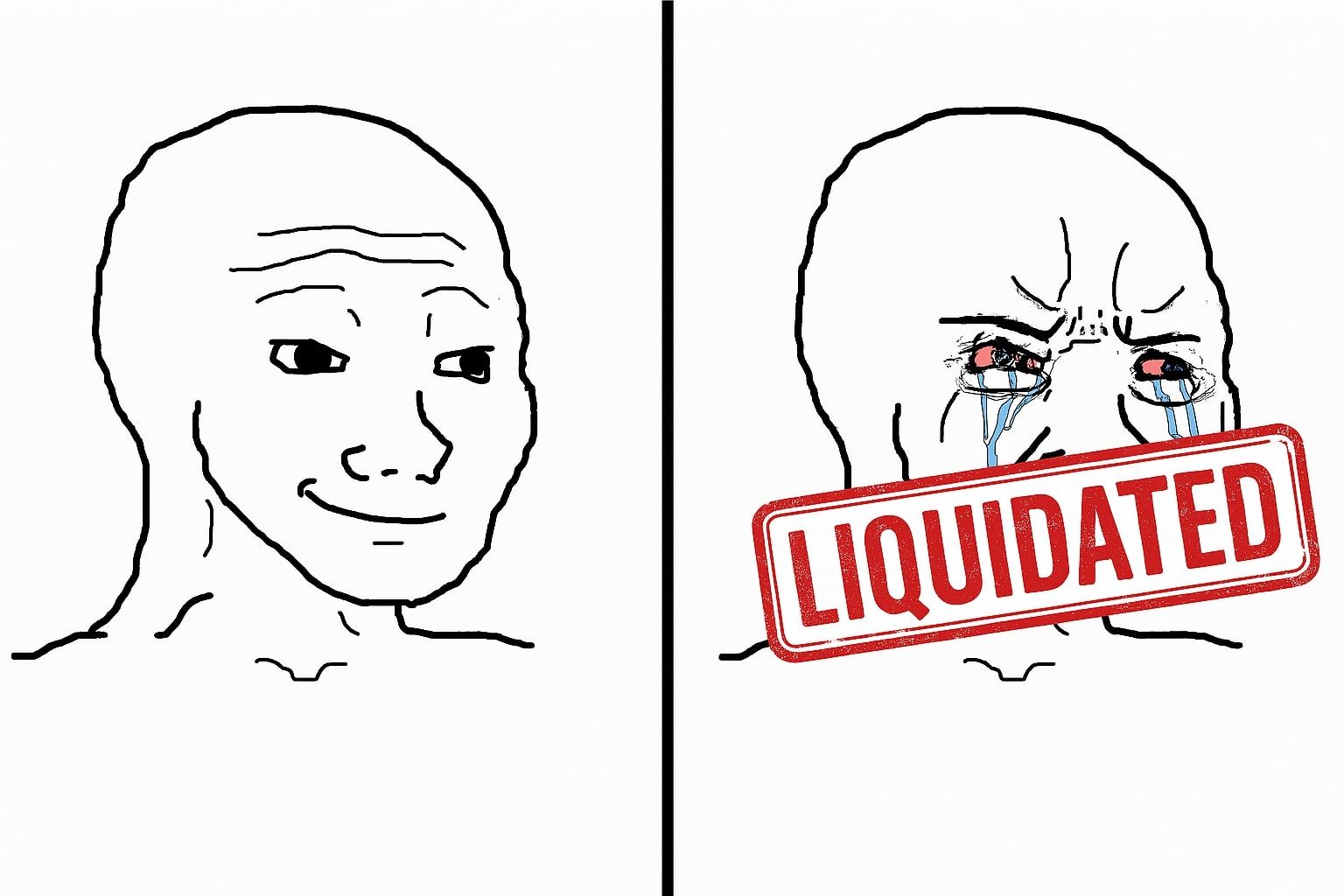 liquidated - how to survive a crypto bear market.jpg